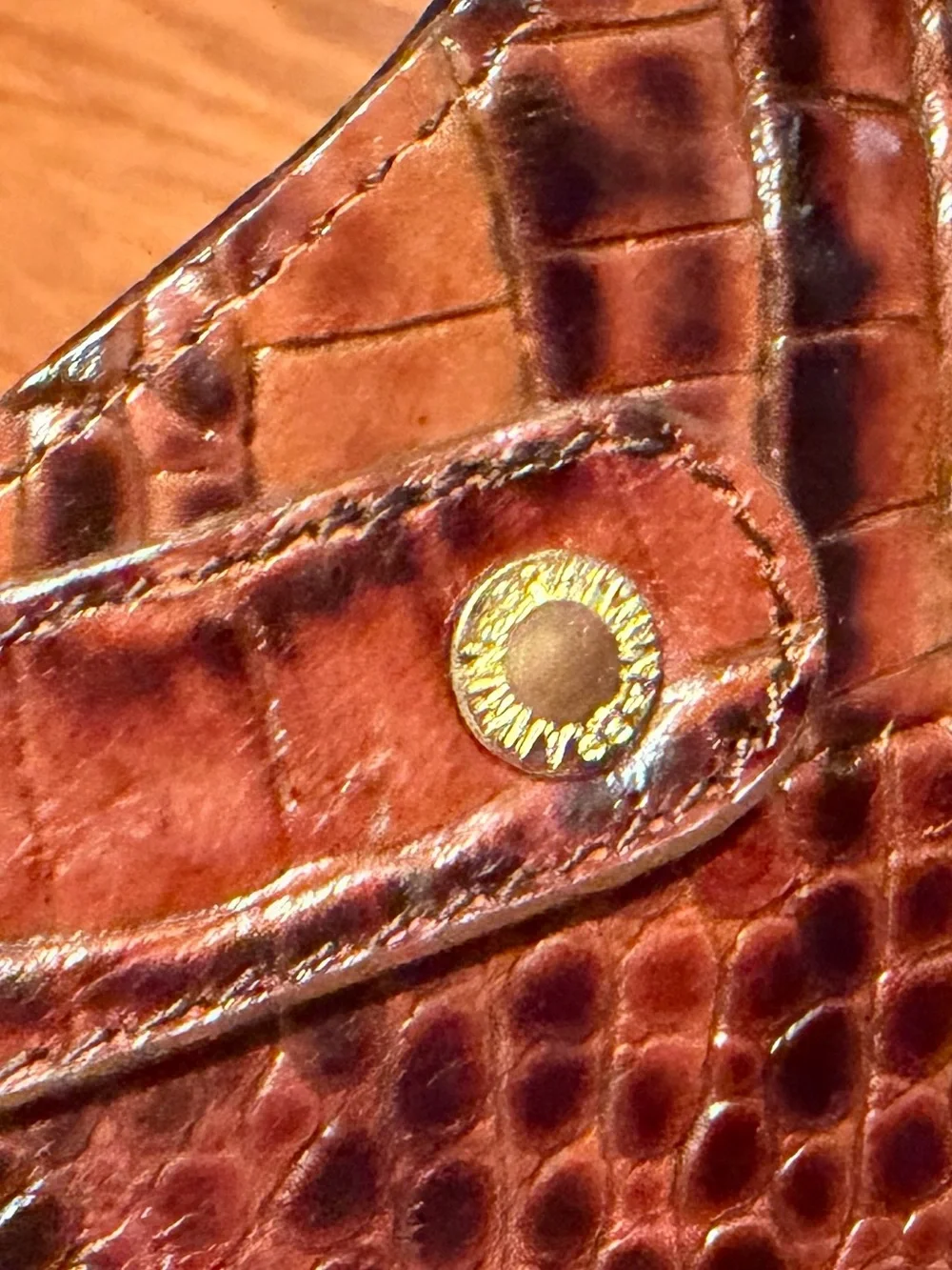 Brahmin large bag